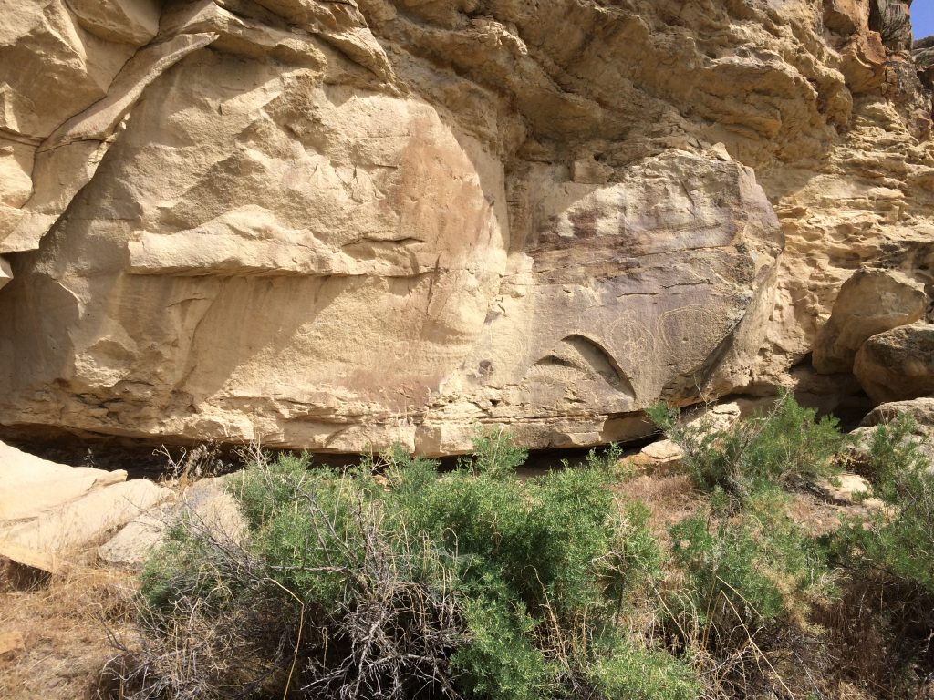 Ute shields in Canyon Pintado.