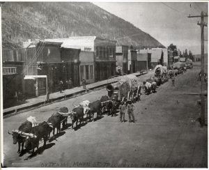 Dave Wood freight outfit's ox team on Telluride's Main Street in 1887. Photo # 1980.0013.0185, Museums of Western Colorado.