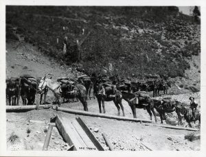 Ore train near Ouray in 1894. Photo # 1980.0013.0108, Museums of Western Colorado.